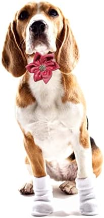 PETZC Virág Lány, Nyakörv,Fém Csat Velúr Tartós Pet Nyakörv Állítható Kutya Nyakörvek Virág Ajándék Női Kutyák Kicsi Közepes